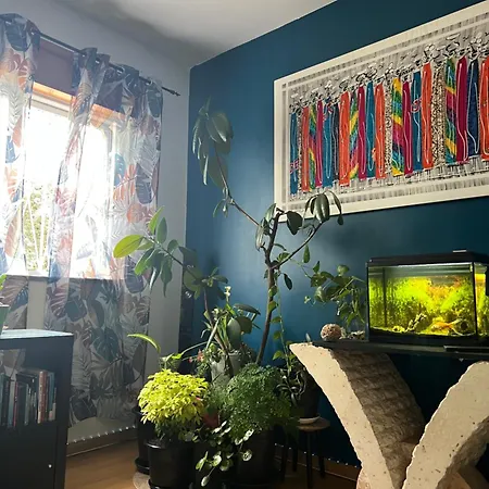 Paradise Camarate (Lisbon)