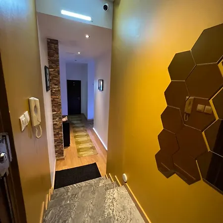 Paradise Проживание в семье *